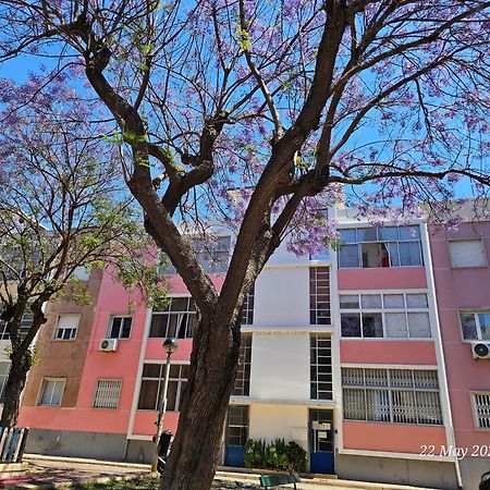 Blife Farensya Private Rooms Faro Exterior photo
