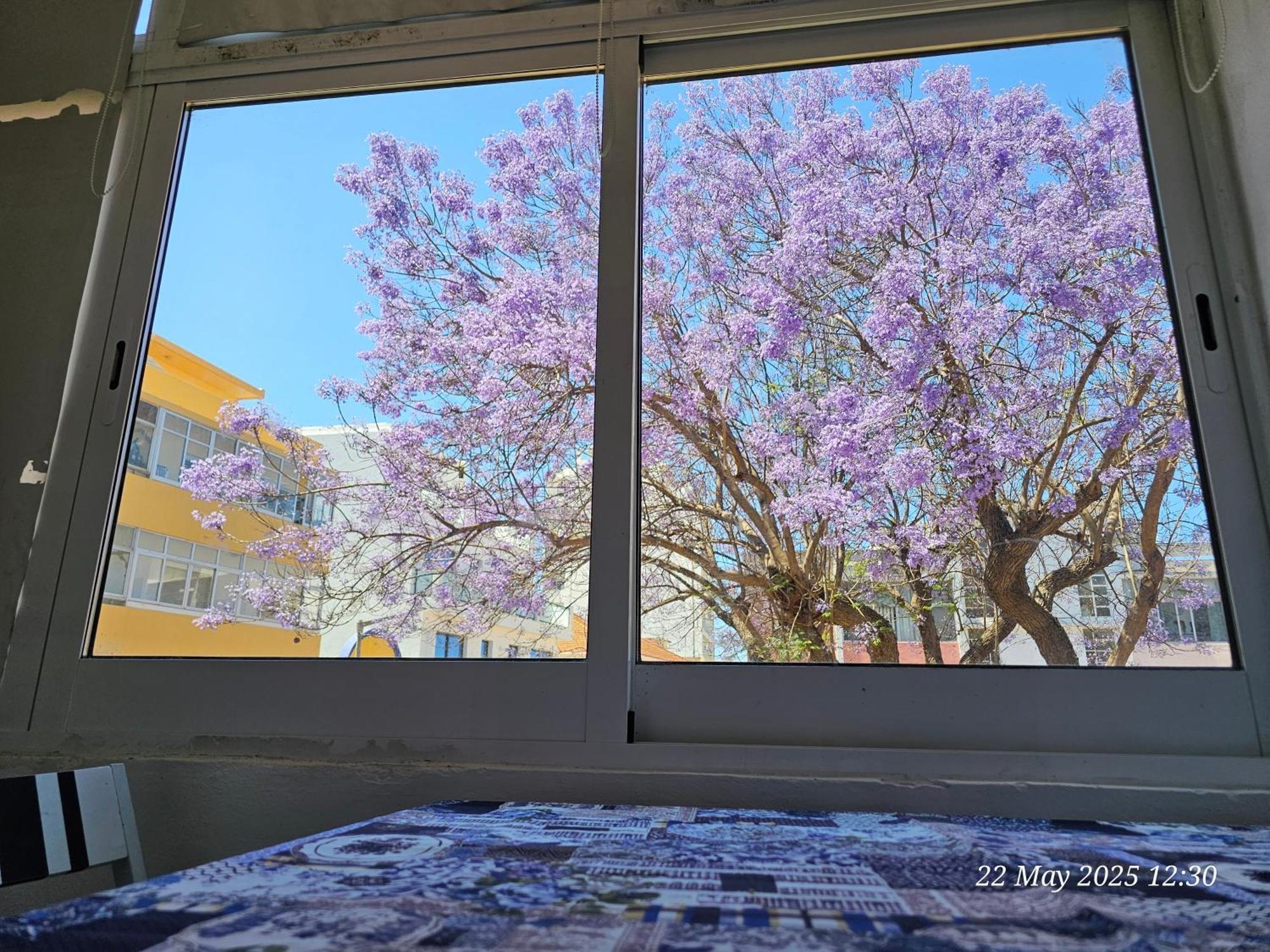Blife Farensya Private Rooms Faro Exterior photo